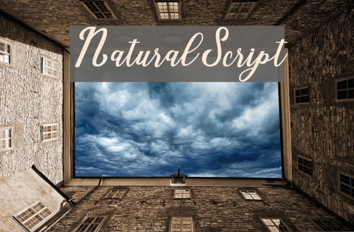 NaturalScript Font examples