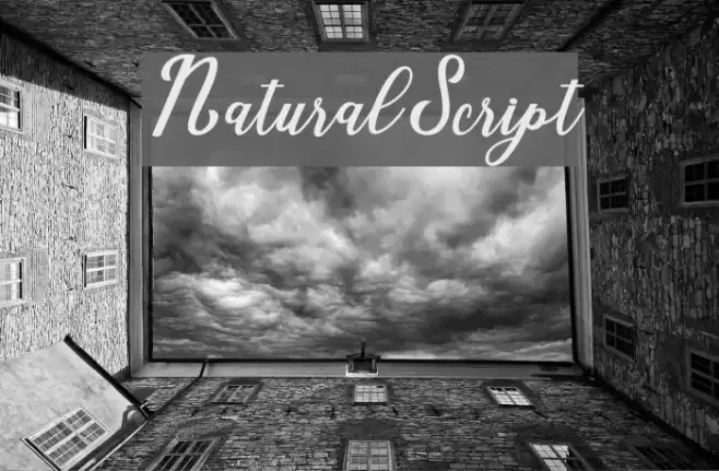 NaturalScript Example 3