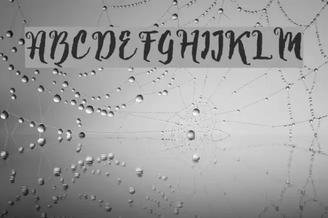 Natural Font examples