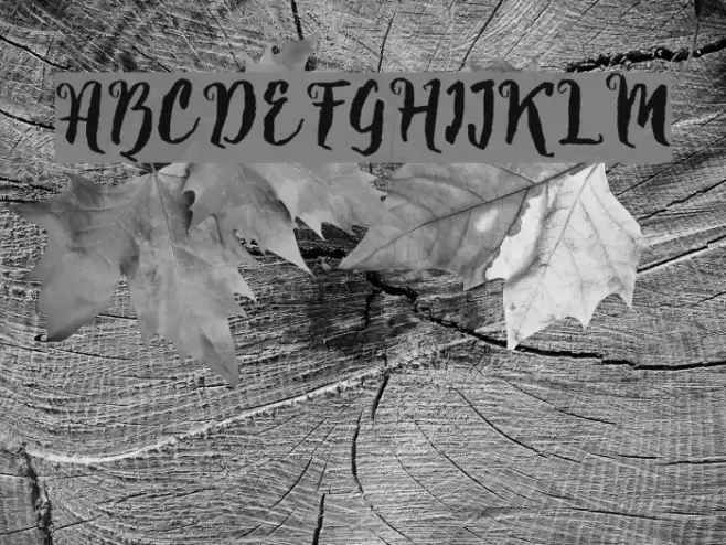 Natural Font examples