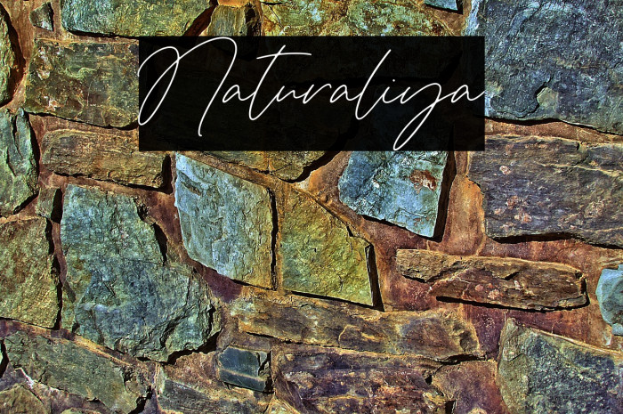 Naturaliya Example 2