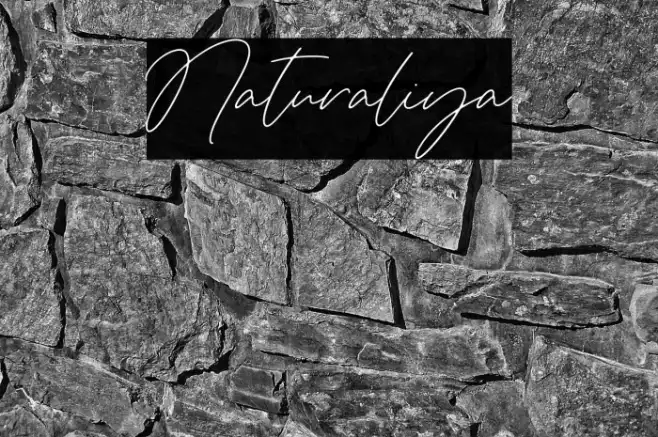 Naturaliya Example 2