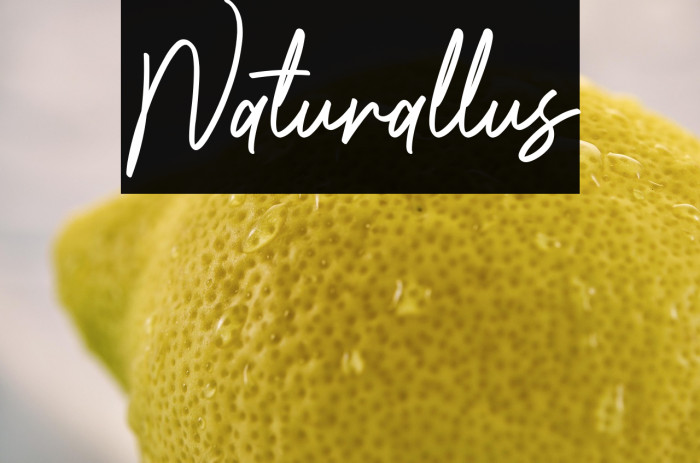 Naturallus Example 1