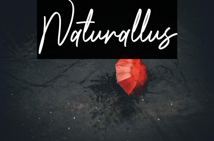 Naturallus Example 2