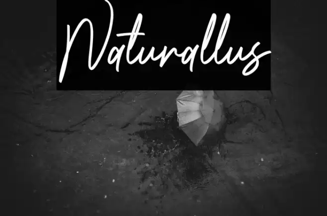 Naturallus Example 2