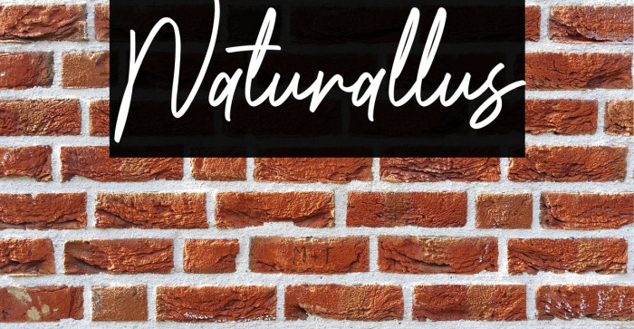 Naturallus Example 3