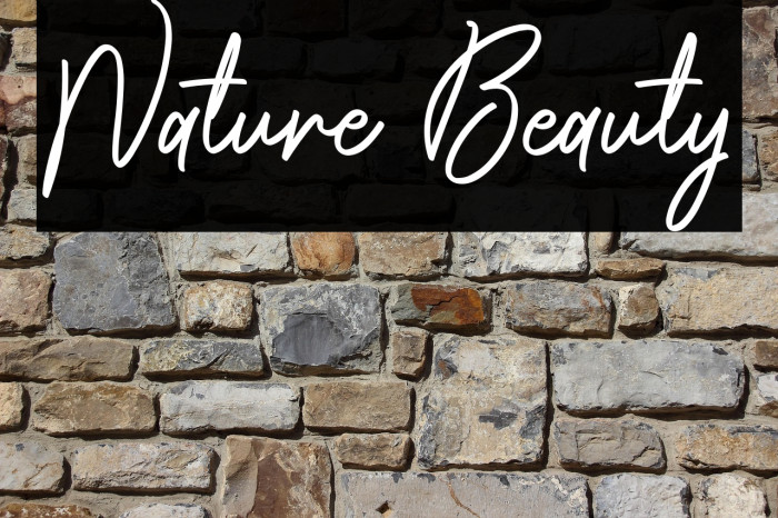 Nature Beauty Example 1
