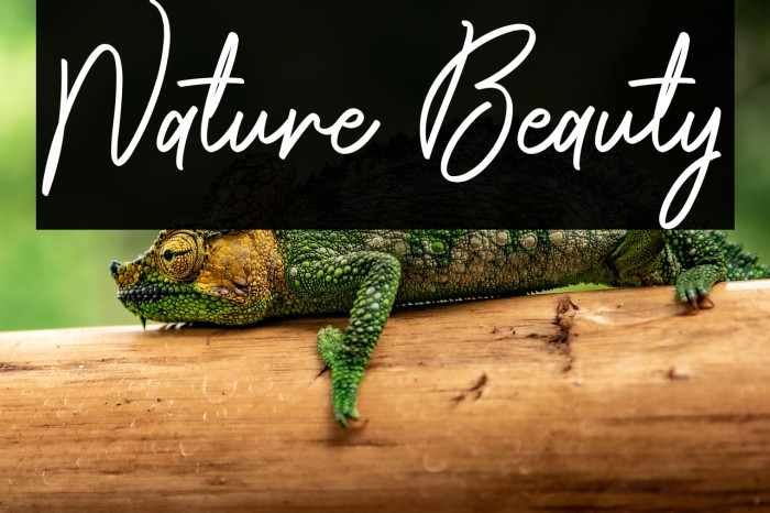 Nature Beauty Example 2