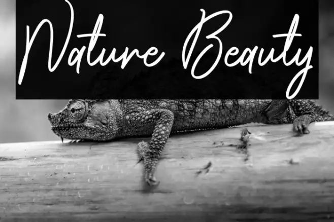 Nature Beauty Example 2