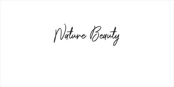 Nature Beauty Logo