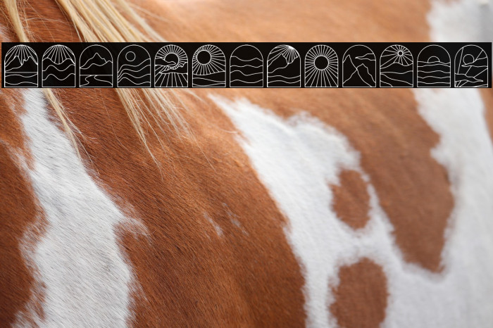 Nature Boho Example 2