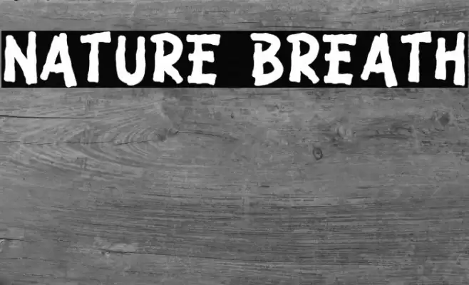 Nature Breath Font examples