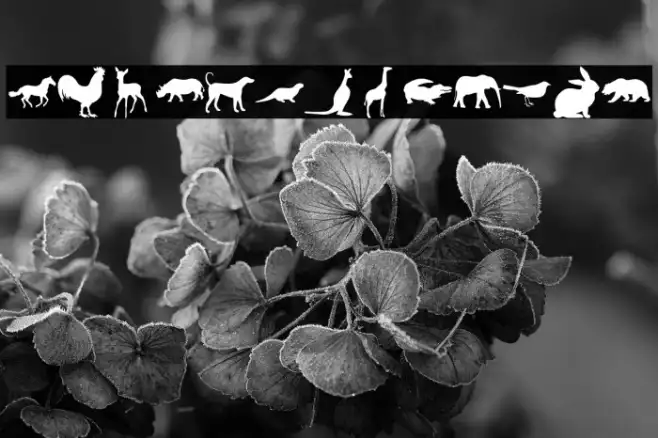 Nature Pro Example 2