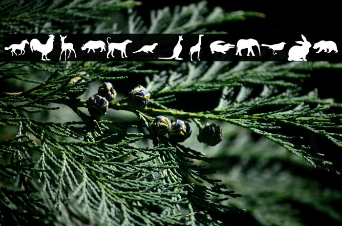 Nature Pro Example 3