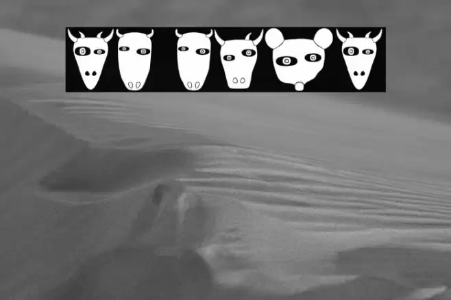 Nature Regular Caratteri examples