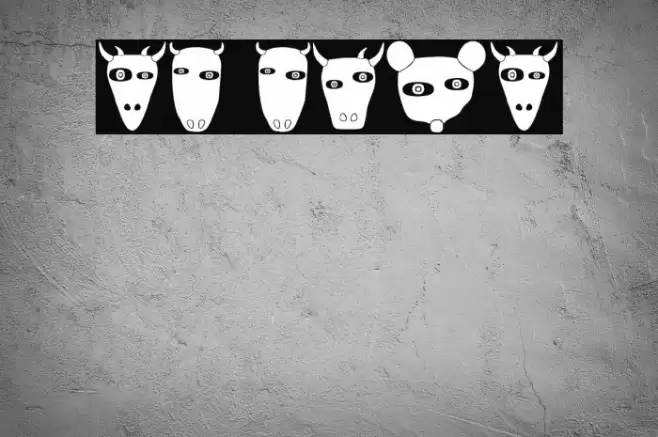 Nature Regular Caratteri examples