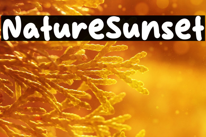 Nature Sunset Example 1