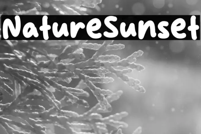 Nature Sunset Example 1