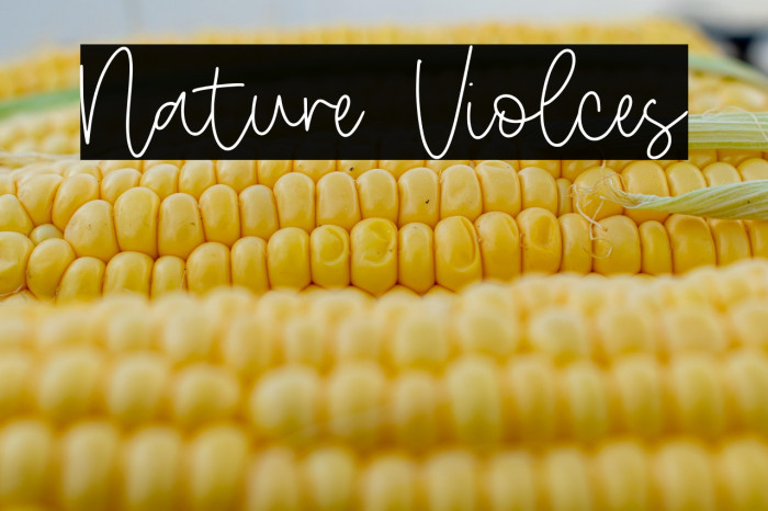 Nature Violces Example 2
