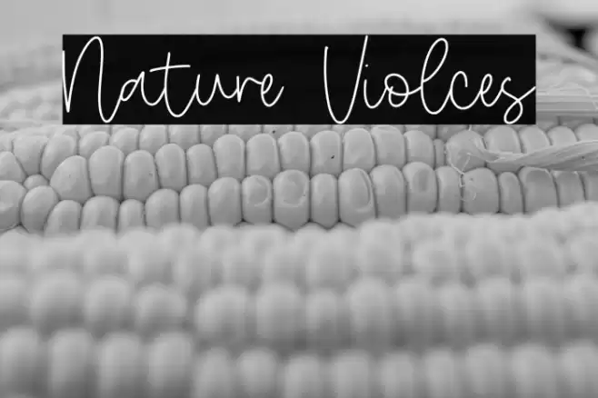 Nature Violces Font examples