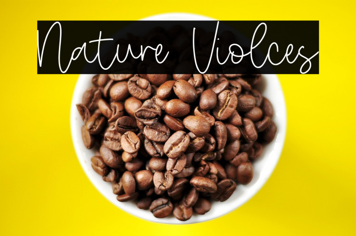 Nature Violces Example 3