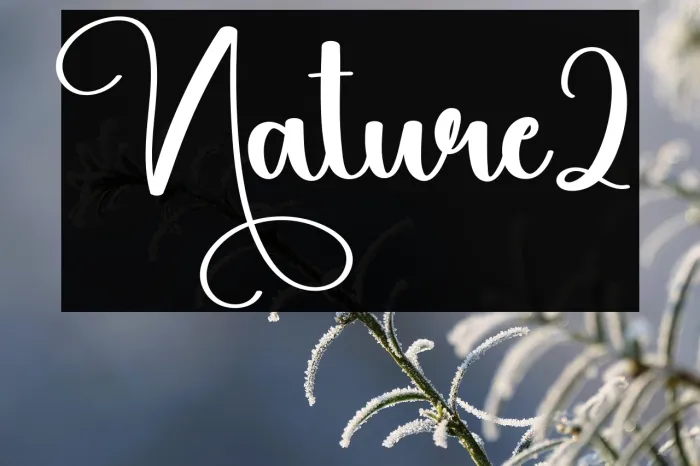 Nature2 Example 1