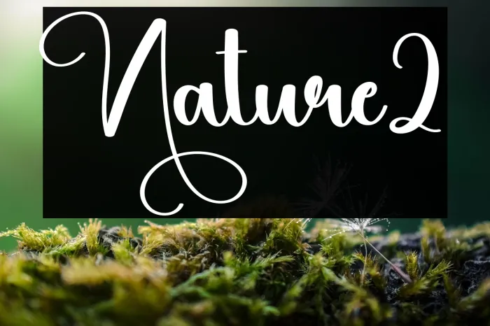 Nature2 Example 2