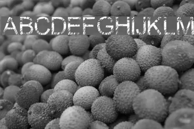 Nature Font examples