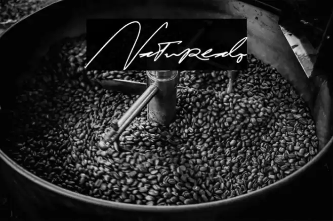 Naturealo Caratteri examples