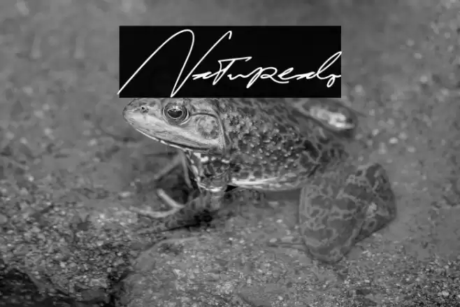 Naturealo Caratteri examples