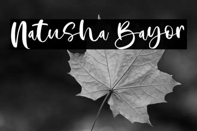 Natusha Bayor Font examples