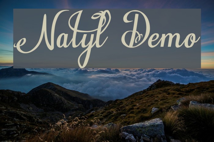 Natyl Demo Font examples