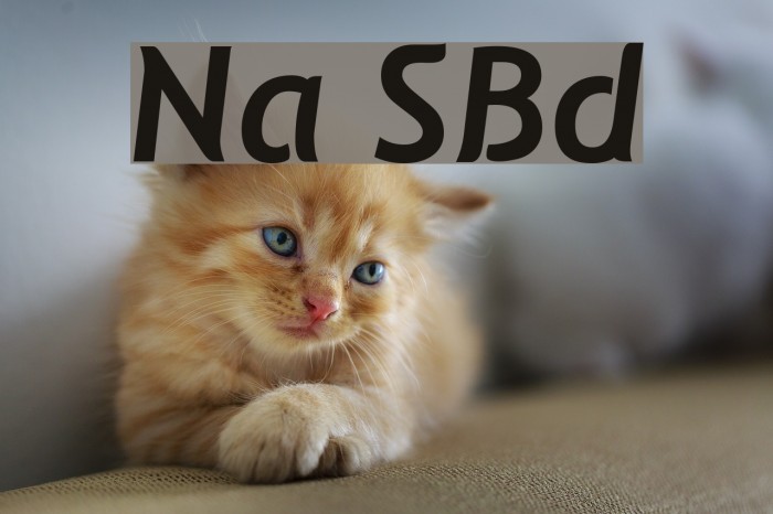 Natzilino SemiBold Font examples