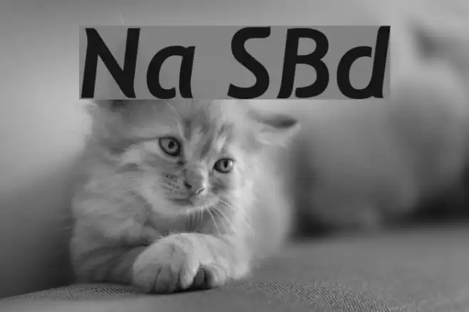 Natzilino SemiBold Polices examples