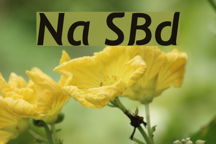 Natzilino SemiBold Font examples