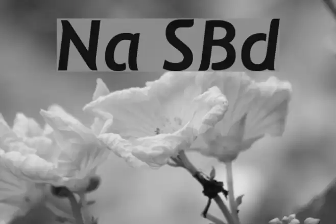 Natzilino SemiBold Polices examples