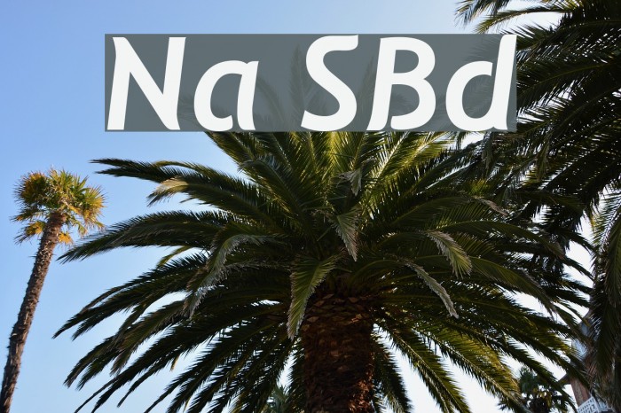 Natzilino SemiBold Font examples