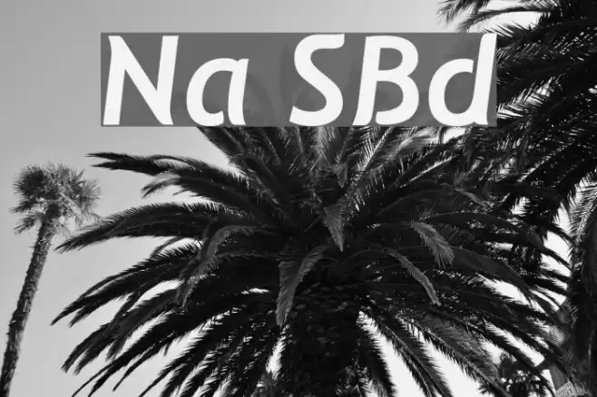 Natzilino SemiBold Polices examples