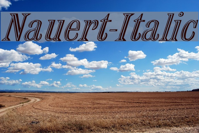 Nauert-Italic Font examples