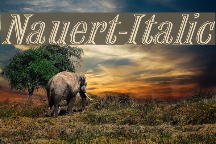 Nauert-Italic Font examples