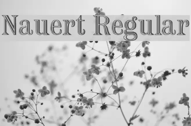 Nauert Regular Schriftart examples