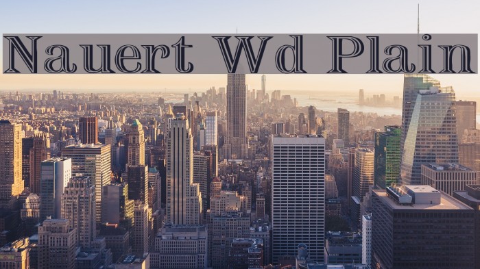 Nauert Wd Plain Schriftart examples
