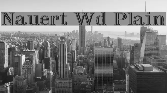 Nauert Wd Plain Font examples