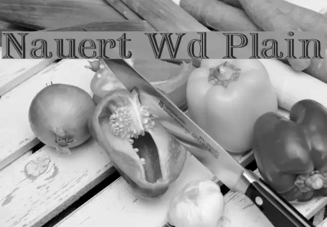 Nauert Wd Plain Font examples