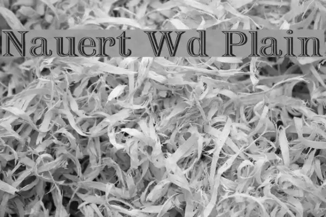 Nauert Wd Plain Font examples