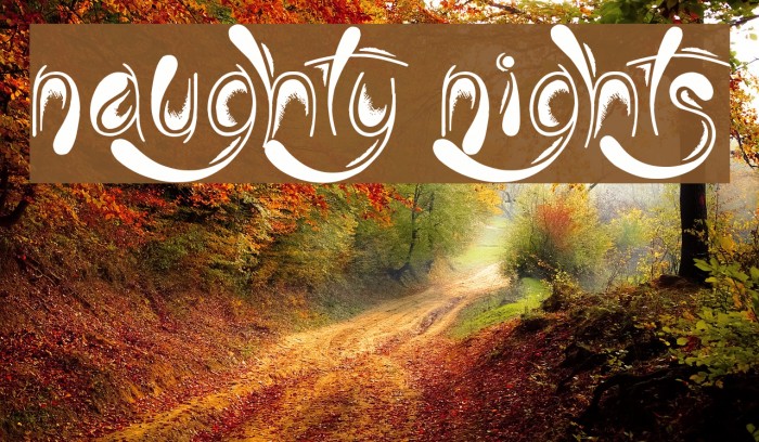 Naughty Nights Font examples