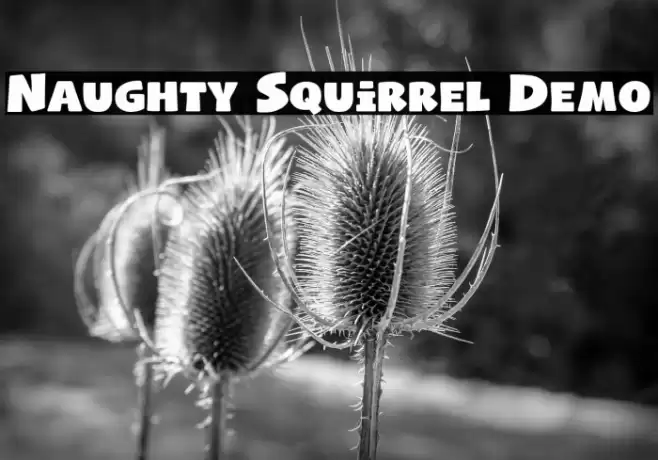 Naughty Squirrel Demo Font examples