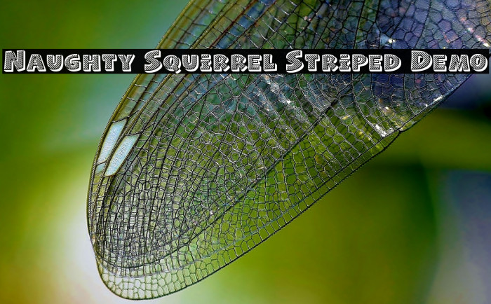 Naughty Squirrel Striped Demo Font examples