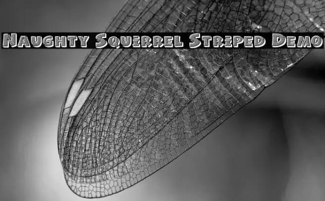 Naughty Squirrel Striped Demo Example 2