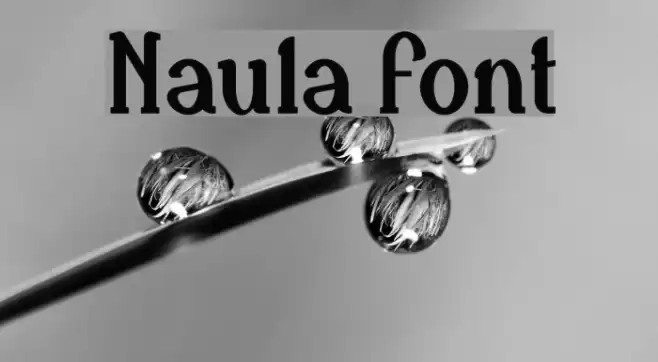 Naula Font examples